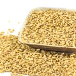 Wheat - 1 Kg