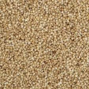 Little Millet (same) - 1 Kg