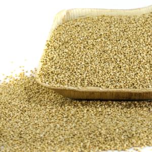 Quinoa - 500 Gms