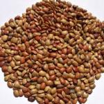 Horse Gram - 500 Gms