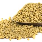 Soya Bean Whole - 500 Gms