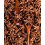 Star Anise - 25 GMS